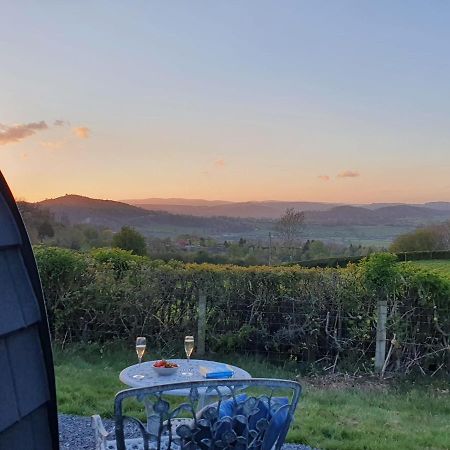 Odli Glamping - Luxury Glamping Pod Villa Welshpool Kültér fotó