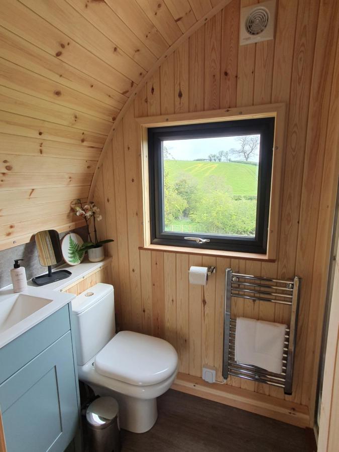 Odli Glamping - Luxury Glamping Pod Villa Welshpool Kültér fotó