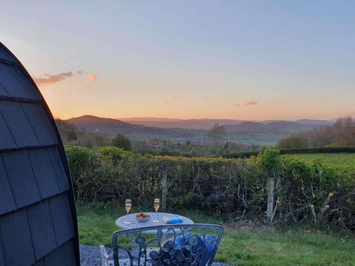 Odli Glamping - Luxury Glamping Pod Villa Welshpool Kültér fotó