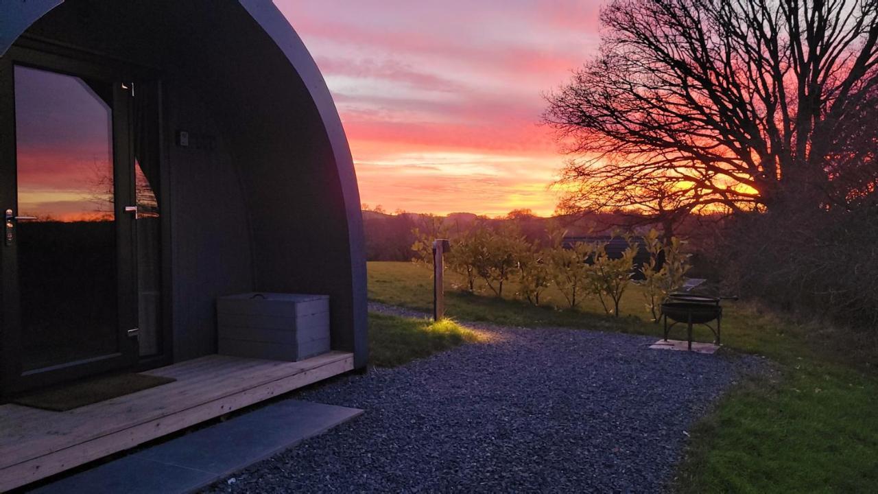 Odli Glamping - Luxury Glamping Pod Villa Welshpool Kültér fotó